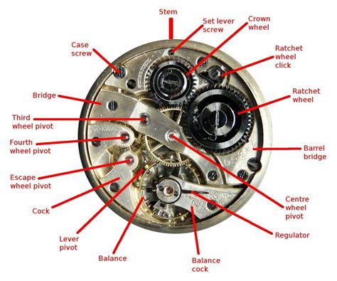 watch diagram parts|inside parts of a watch.